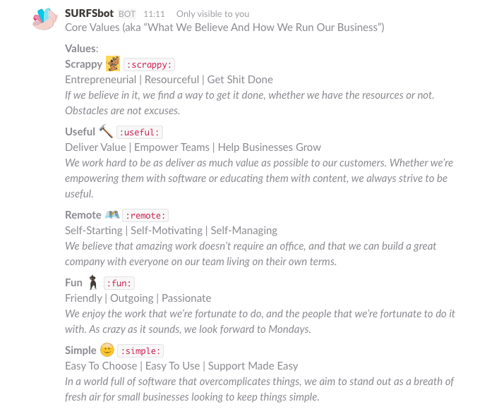 Surfsbot company core values list